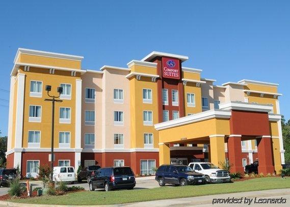 Comfort Suites Near Tanger Outlet Mall Gonzales Extérieur photo